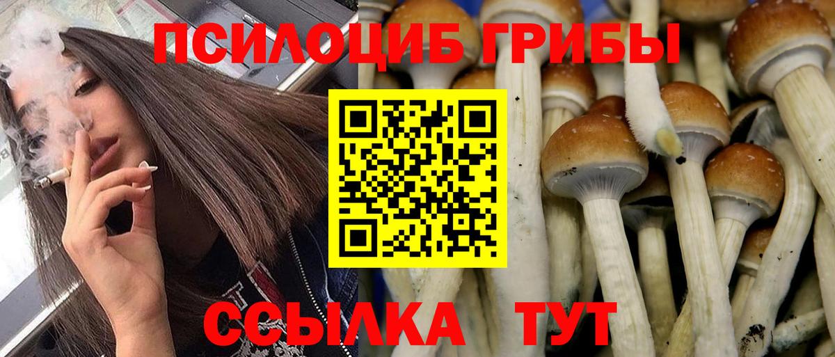 Псилоцибиновые грибы ЛСД  Вход с VPN  Котлас 