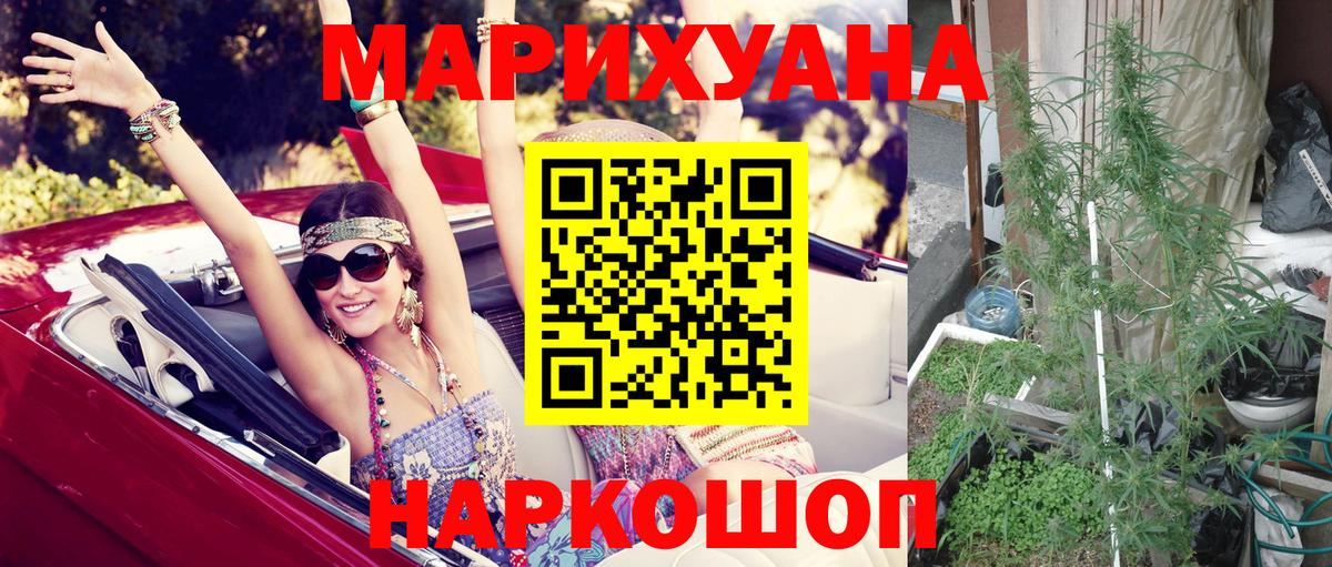 Бошки Шишки OG Kush  Бошки Шишки тримм  МАРИХУАНА ГИДРОПОН  Вход с VPN  Конопля Bruce Banner  Котлас 